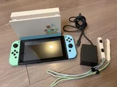 2026年最新】nintendo switch あつまれ どうぶつの森セットの人気