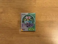 ポケセン限定 ポケットモンスター 30周年ソフトマグネット 緑のサムネイル