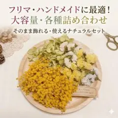 【箱いっぱいの春色】ミモザとアナベルの花材セットA−4のサムネイル