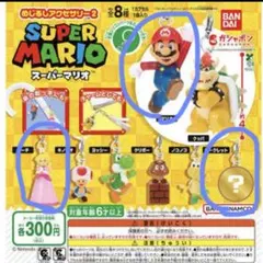 スーパーマリオ2 めじるしアクセサリー　シークレットマリオ含む　3個セット