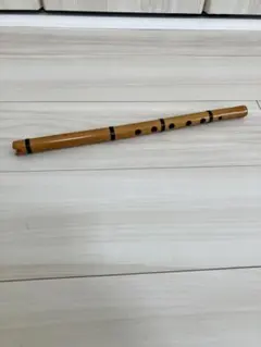 カンテレ 11弦 フィンランド 民族楽器 kantele J・Aカッリオイネン