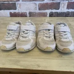 Item thumbnail for item 497b882e-96c0-4a29-a6bc-8e6262de090c