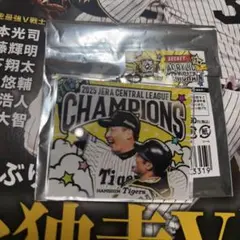 阪神タイガースシークレットアクリルキーホルダー坂本選手、岩崎選手