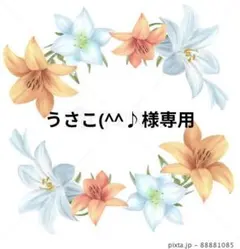 うさこ(^^♪様専用