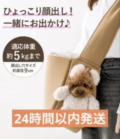 3COINS 顔出しベアバック　犬用品 ブラウン