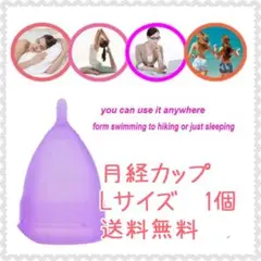 Item thumbnail for item 3129c2b6-8a15-443f-a3c8-7ada358fe8f1