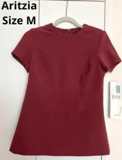 Aritzia Babaton 1-01 半袖　トップス　あずき色　サイズM