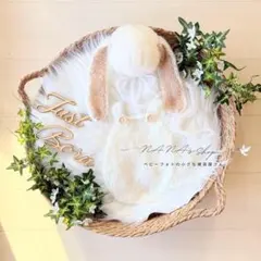 Item thumbnail for item b208472a-fb5a-4d77-a86d-6987434483f3