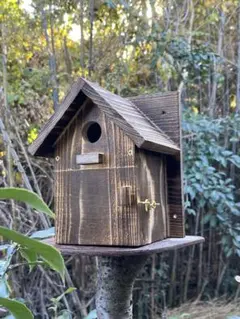 Item thumbnail for item 78510cf8-3117-40a1-b6ba-cccfd02115f2