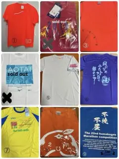 Item thumbnail for item 26b9019a-aeb7-423e-a12e-c64d41e7f220