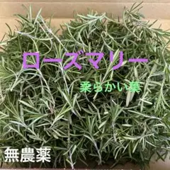 Item thumbnail for item 45e9b198-56f2-460f-a751-b40d3e82f87c