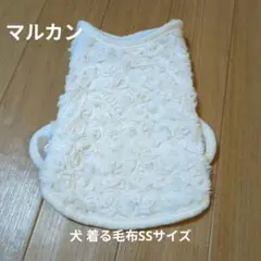 Item thumbnail for item 30a1db4b-d794-429c-9438-141ce9eecec4