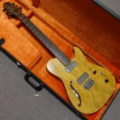 Style-N Nishgaki Guitars Cirrus P90 ジャズのサムネイル