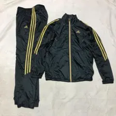 アディダス ジャージセットアップ ポリエステル ゴールドパフォーマンスロゴ L