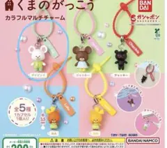 くまのがっこう カラフルマルチチャーム デイビッド まとめ売り歓迎