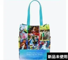 ディズニーシー　イマジニングザマジック　ファンタジースプリングス　トートバッグ