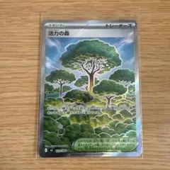 ポケモンカード 活力の森 109/108 スーパーレア