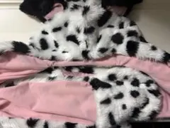 ディズニー　101匹わんちゃん　マフラー