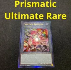 2025年最新】フレシアの蟲惑魔 レリーフの人気アイテム - メルカリ