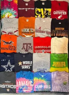 アメリカ直輸入古着 プリントTシャツ メンズ S/M 20枚セット まとめ売り