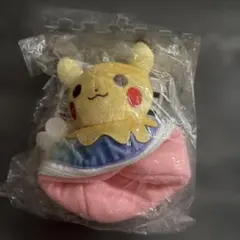 ポケモンセンター ピカチュウ ガラル テブリム 仮装 ハロウィン