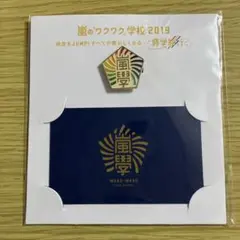 嵐のワクワク学校2019 ピンバッジ