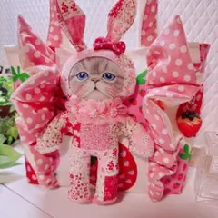 葉*月様 コヤンイサムチョン♡うさぎ着ぐるみルミちゃんのいちごフリルトートバッグ