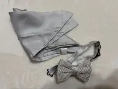 Item thumbnail for item a7c4ed73-ba01-426f-b950-bedc5472aa60