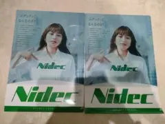 川口春奈　クリアファイル 川口春奈 クリアファイル A4 ニデック Nidec 非売品 京都タワー シール