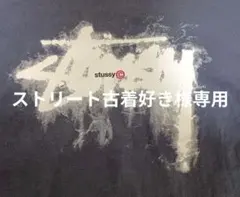 Stussy グラフィックプリント Tシャツ Lサイズ