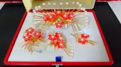 Item thumbnail for item efbd33e5-d08a-4606-a59d-06dea1339308