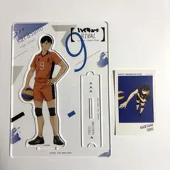 ハイキュー！！　影山飛雄 アクリルスタンド／アートステッカー