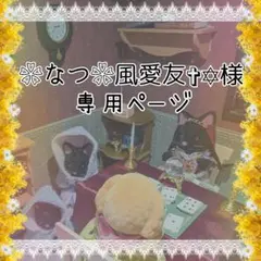 ❀なつ❦風愛友✞✡様 専用ページ