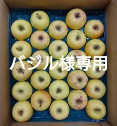 【バジル様専用】