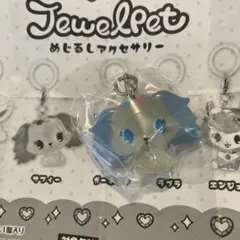 ジュエルペット めじるしアクセサリー サフィー