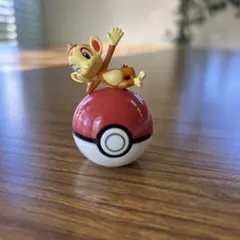 ヒコザル ポケモン　マグネットボール カプセルトイ　ポケットモンスター
