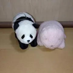 上野動物園 香香 シャンシャン ぬいぐるみ ほんとの大きさ パンダ