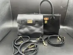山野楽器 Samantha Thavasa コラボ フルート クラリネットバッグ