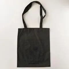 新品　布製　薄手　ペイズリー柄　トートバッグ　エコバッグ　サブバッグ