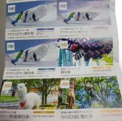 最新　日本駐車場開発　株主優待　紙チケット　1冊