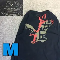 K1220 AMERICAN EAGLE 古着 プリントロンT 長袖
