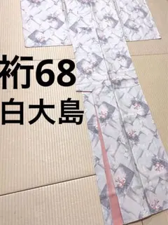 2026年最新】白大島紬 裄68の人気アイテム - メルカリ