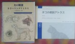 2026年最新】犬の解剖 アトラスの人気アイテム - メルカリ