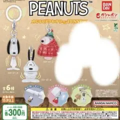 PEANUTS スヌーピー めじるしアクセサリー ガチャガチャ