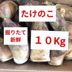 ※ 今季終了間近 〈日本最高峰ブランド〉合馬産たけのこ 掘りたて 4kg 日本最高峰ブランド〉合馬産たけのこ 掘りたて 4kg - メルカリ