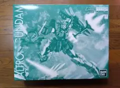 MG アルトロンガンダム EW ウイングガンダムW プレバン - メルカリ