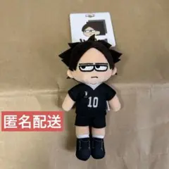 ジロリぬいぐるみ ハイキュージロリぬいぐるみ Amazon.co.jp: ハイキュー ジロリ