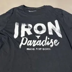 週末セール　アンダーアーマー　プロジェクトロック　Ｔシャツ サイズLG