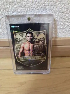 RIZIN フェザー級チャンピオンカード　ラジャブアリシェイドゥラエフ　ライコレ