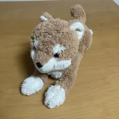 サンレモン　ひざわんこ　しば犬BEのサムネイル